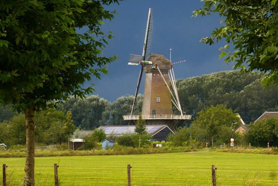 Buzzzle klantcase - gemeente Bunnik