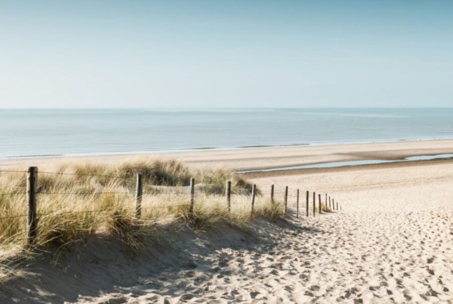 Buzzzle klantcase - gemeente Noordwijk